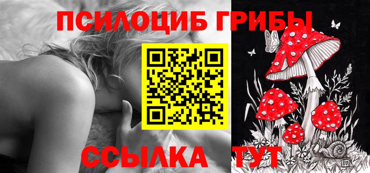где найти наркотики  Вход с VPN  Самара  Псилоцибиновые грибы GOLDEN TEACHER  Псилоцибиновые грибы GOLDEN TEACHER 