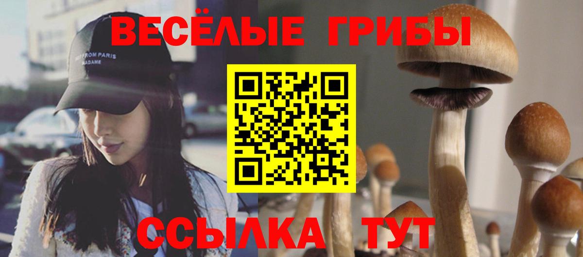 Псилоцибиновые грибы MAGIC MUSHROOMS Самара